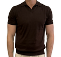 Silk and cotton polo shirt with shirt collar